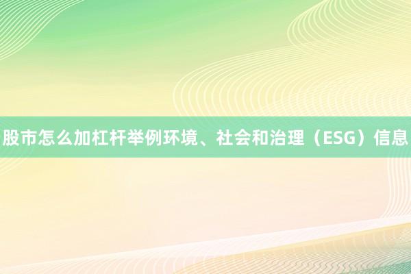 股市怎么加杠杆举例环境、社会和治理（ESG）信息
