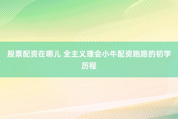 股票配资在哪儿 全主义理会小牛配资跑路的初学历程